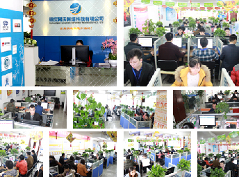 重慶市網站建設、網絡推廣與軟件開發 一站式技術服務全解析